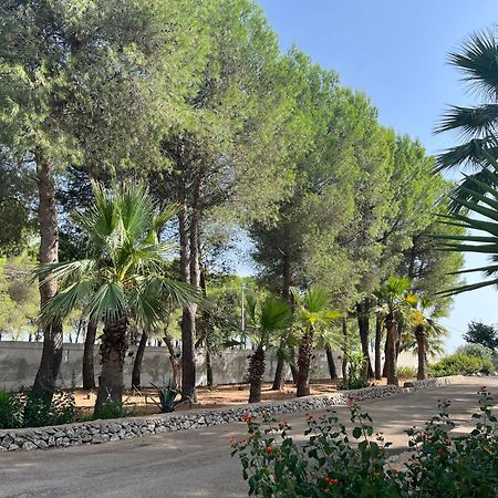 Casette Masseria La Camardia Sava Exteriér fotografie