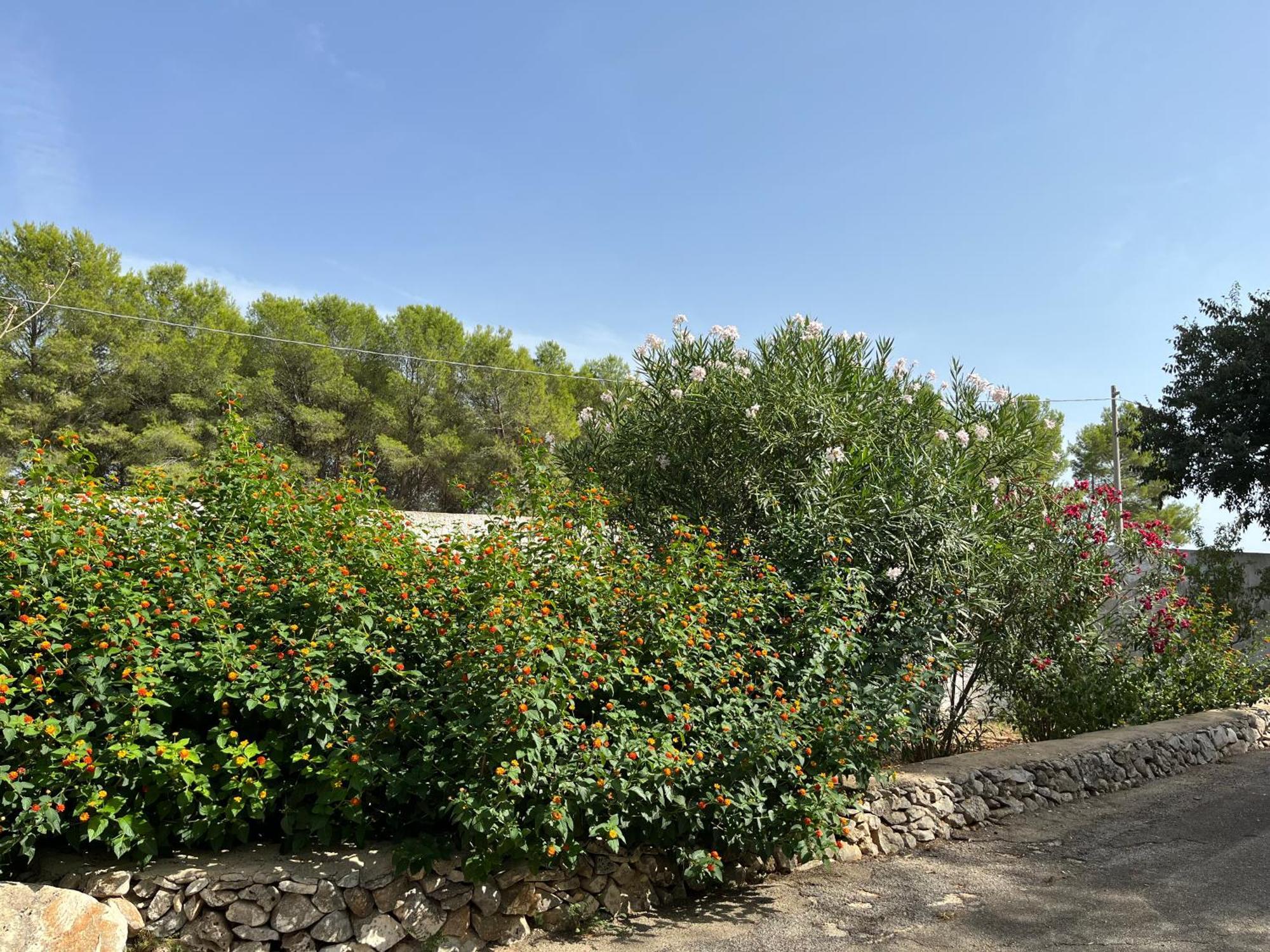 Casette Masseria La Camardia Sava Exteriér fotografie