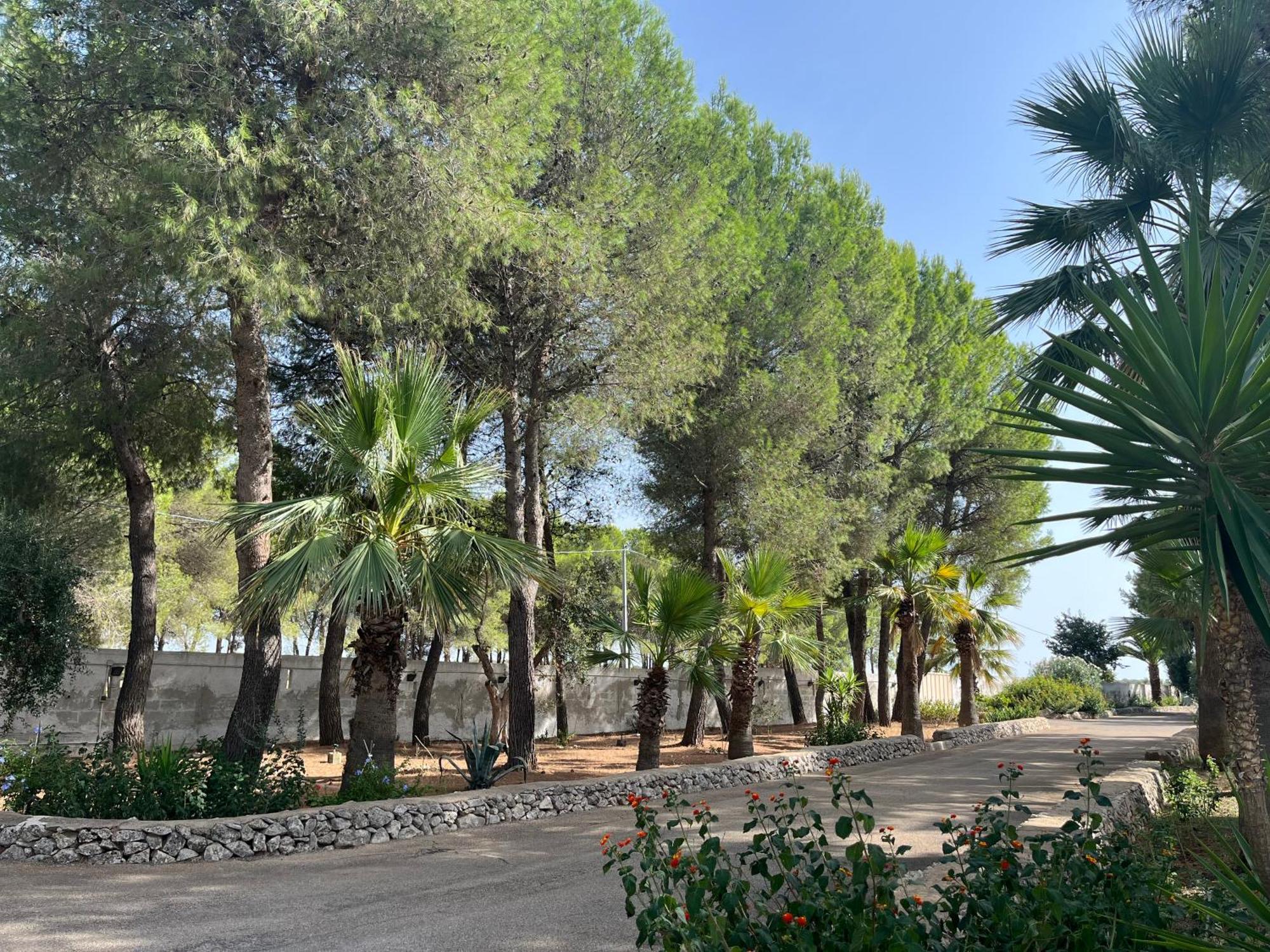 Casette Masseria La Camardia Sava Exteriér fotografie