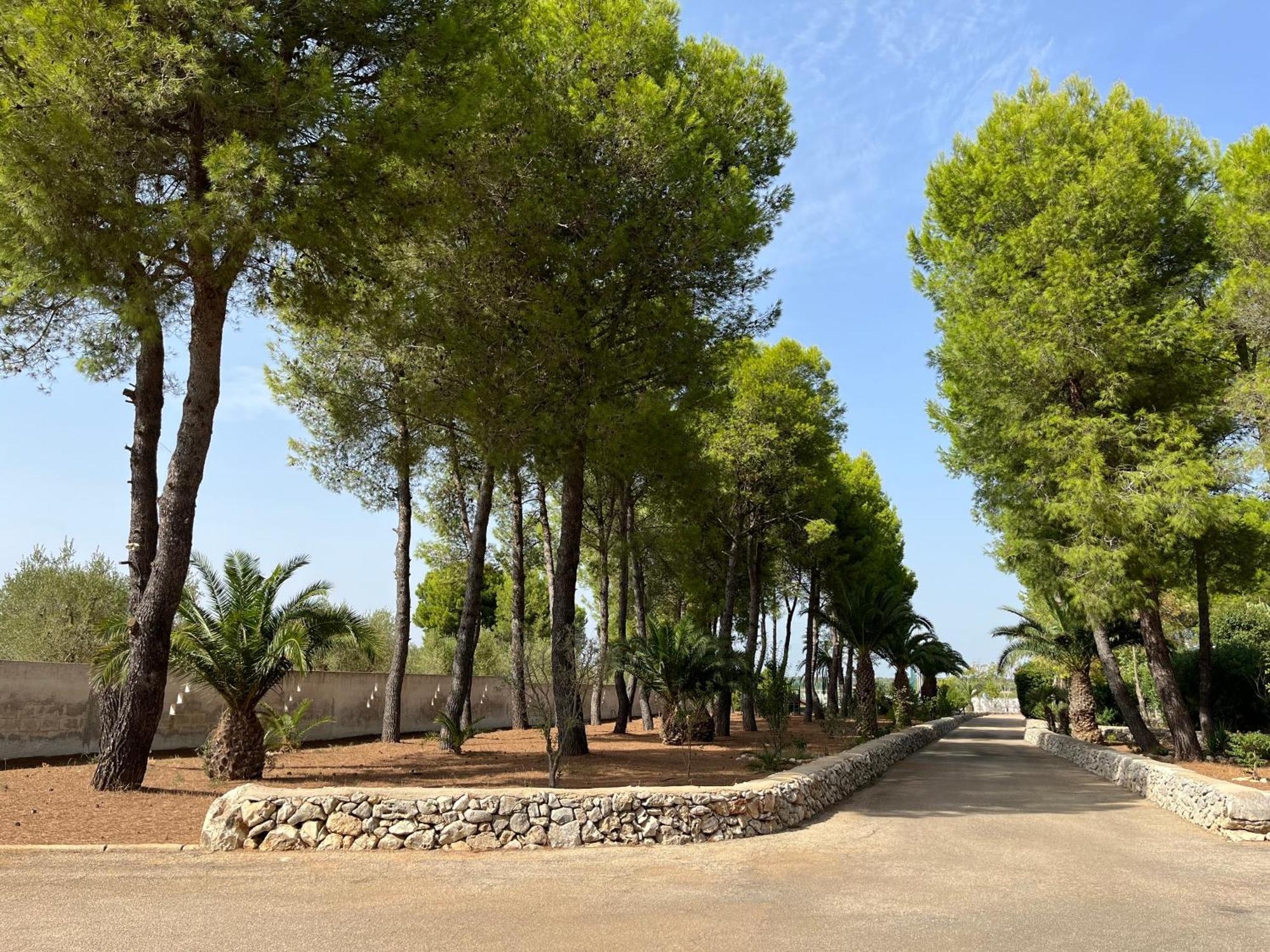 Casette Masseria La Camardia Sava Exteriér fotografie