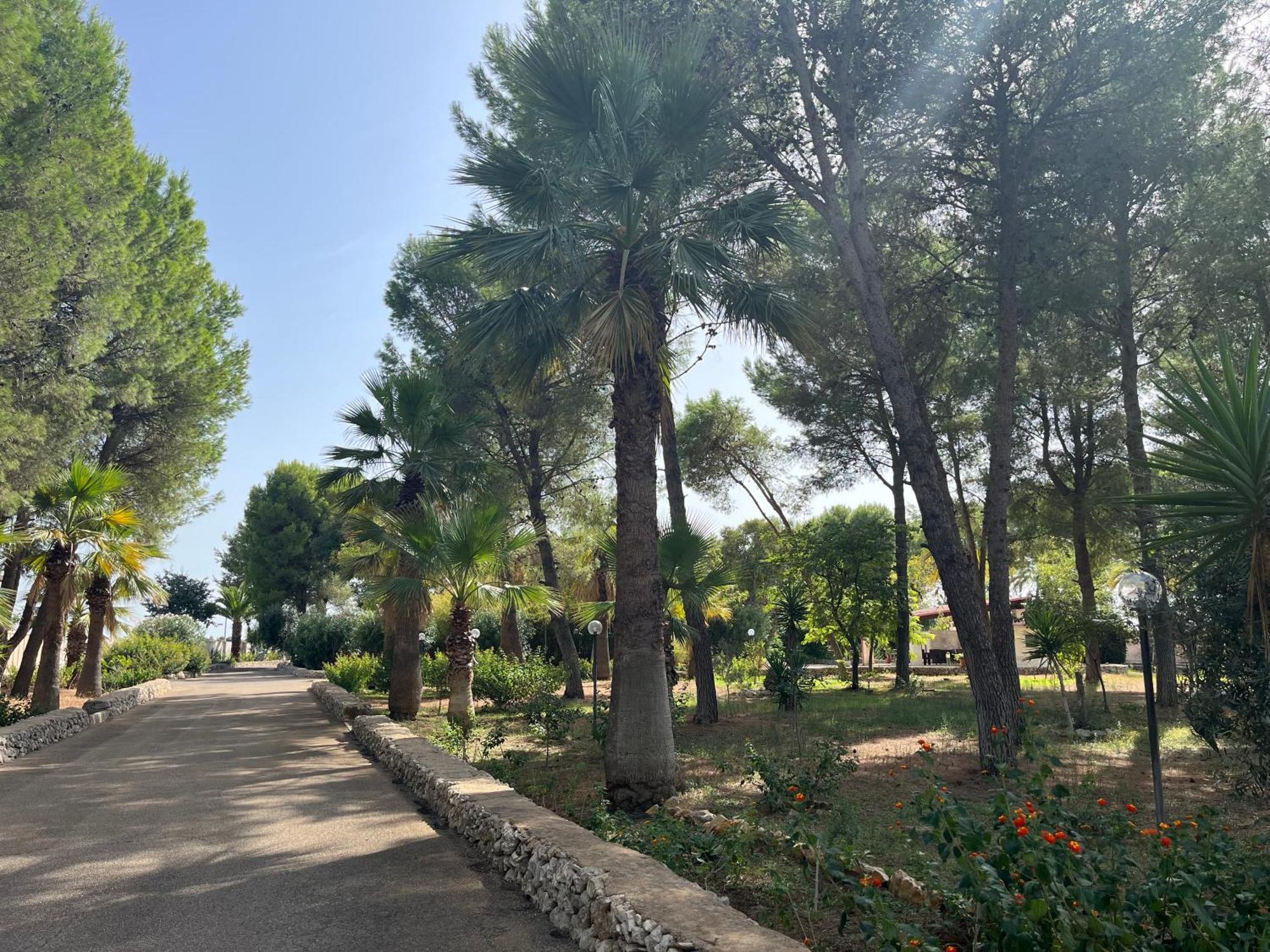 Casette Masseria La Camardia Sava Exteriér fotografie