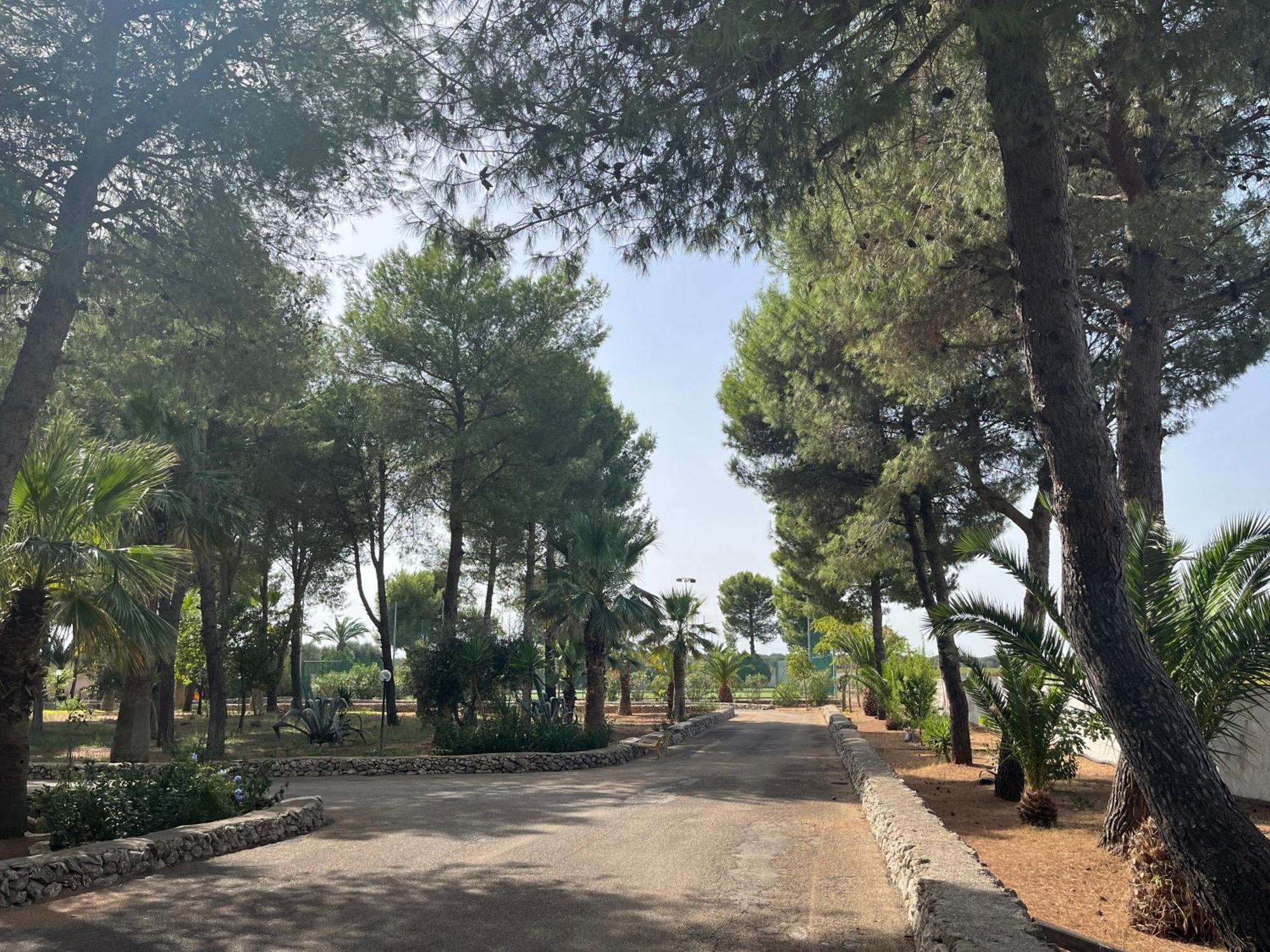 Casette Masseria La Camardia Sava Exteriér fotografie