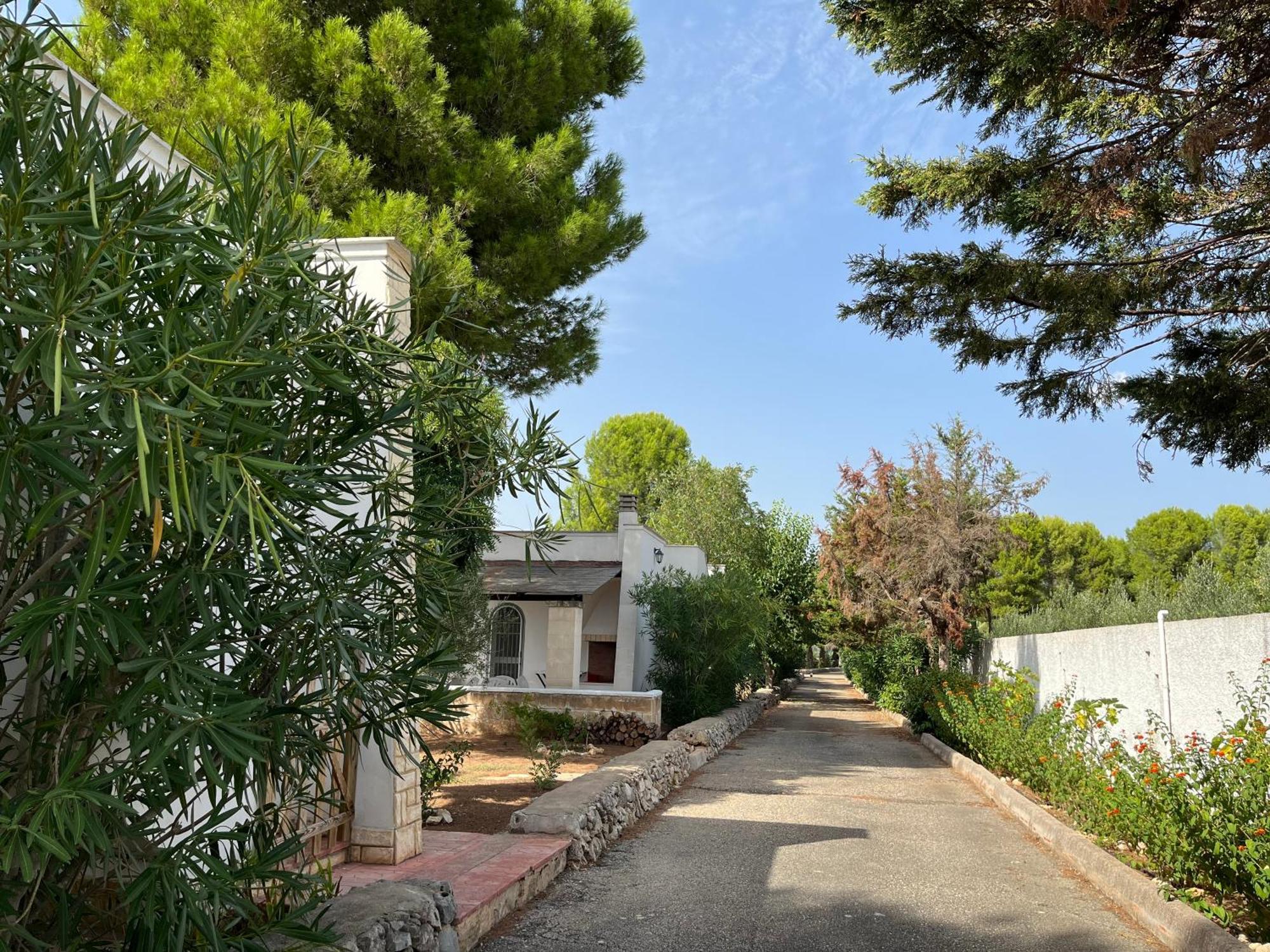 Casette Masseria La Camardia Sava Exteriér fotografie