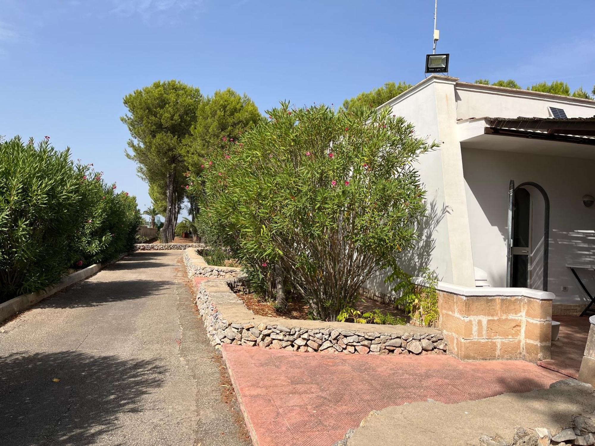 Casette Masseria La Camardia Sava Exteriér fotografie