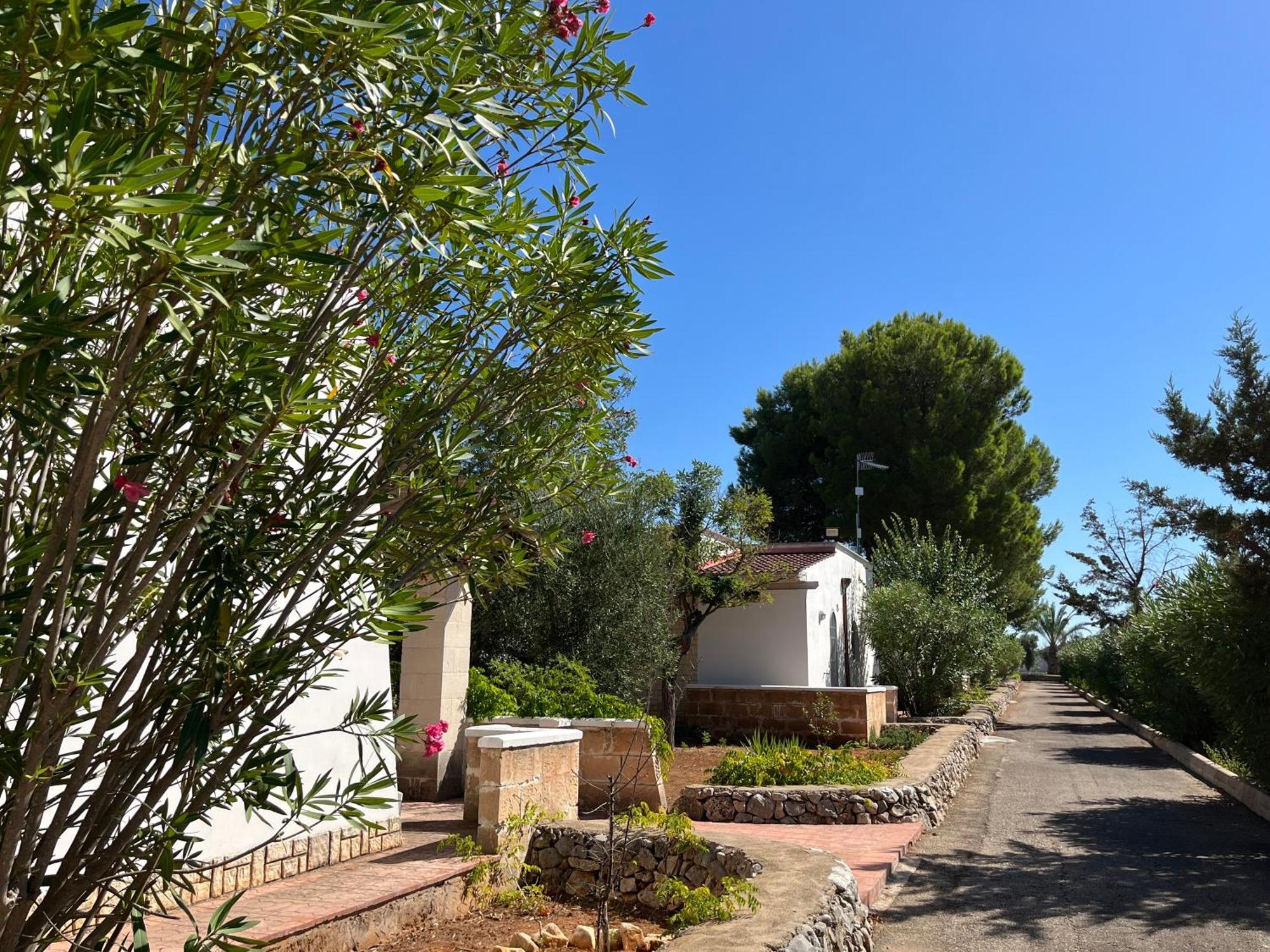 Casette Masseria La Camardia Sava Exteriér fotografie