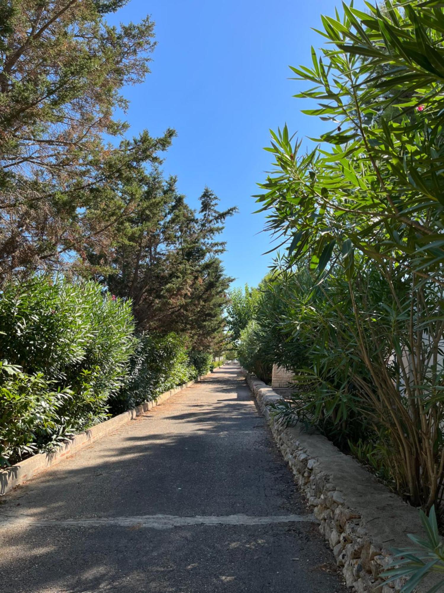 Casette Masseria La Camardia Sava Exteriér fotografie
