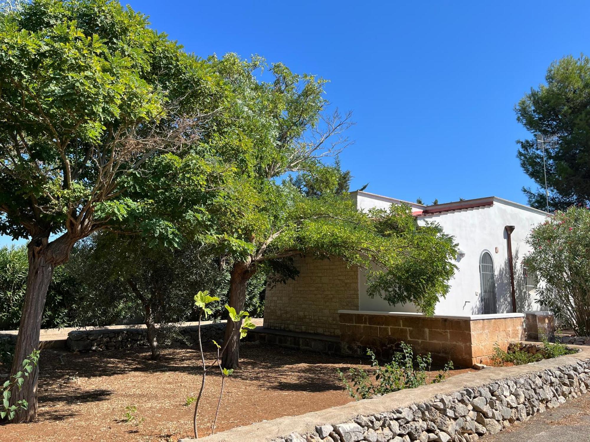 Casette Masseria La Camardia Sava Exteriér fotografie