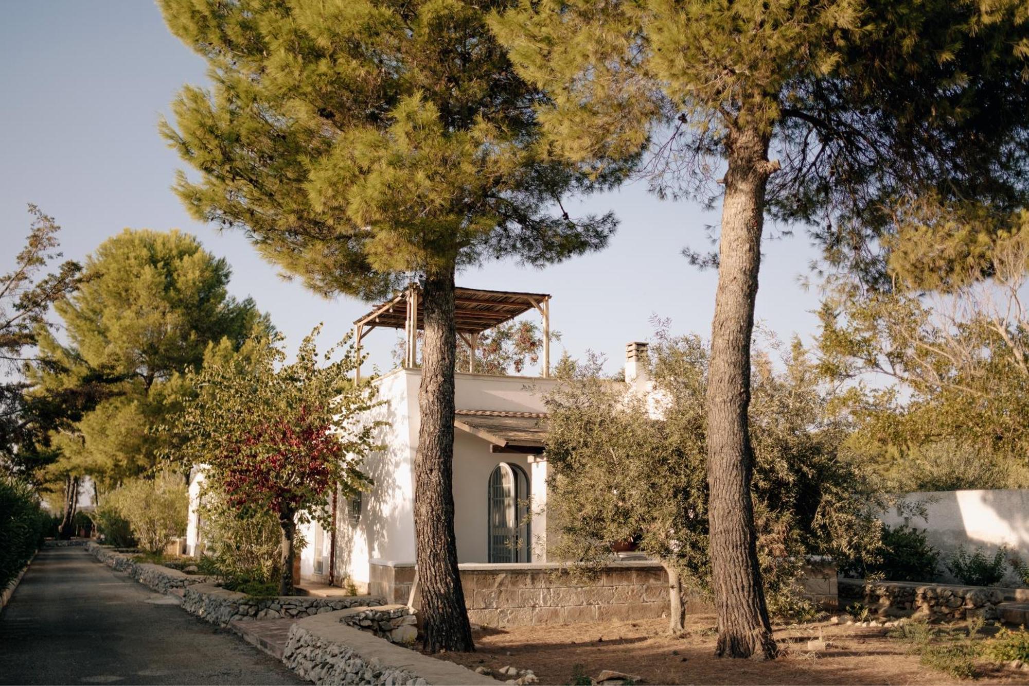 Casette Masseria La Camardia Sava Exteriér fotografie