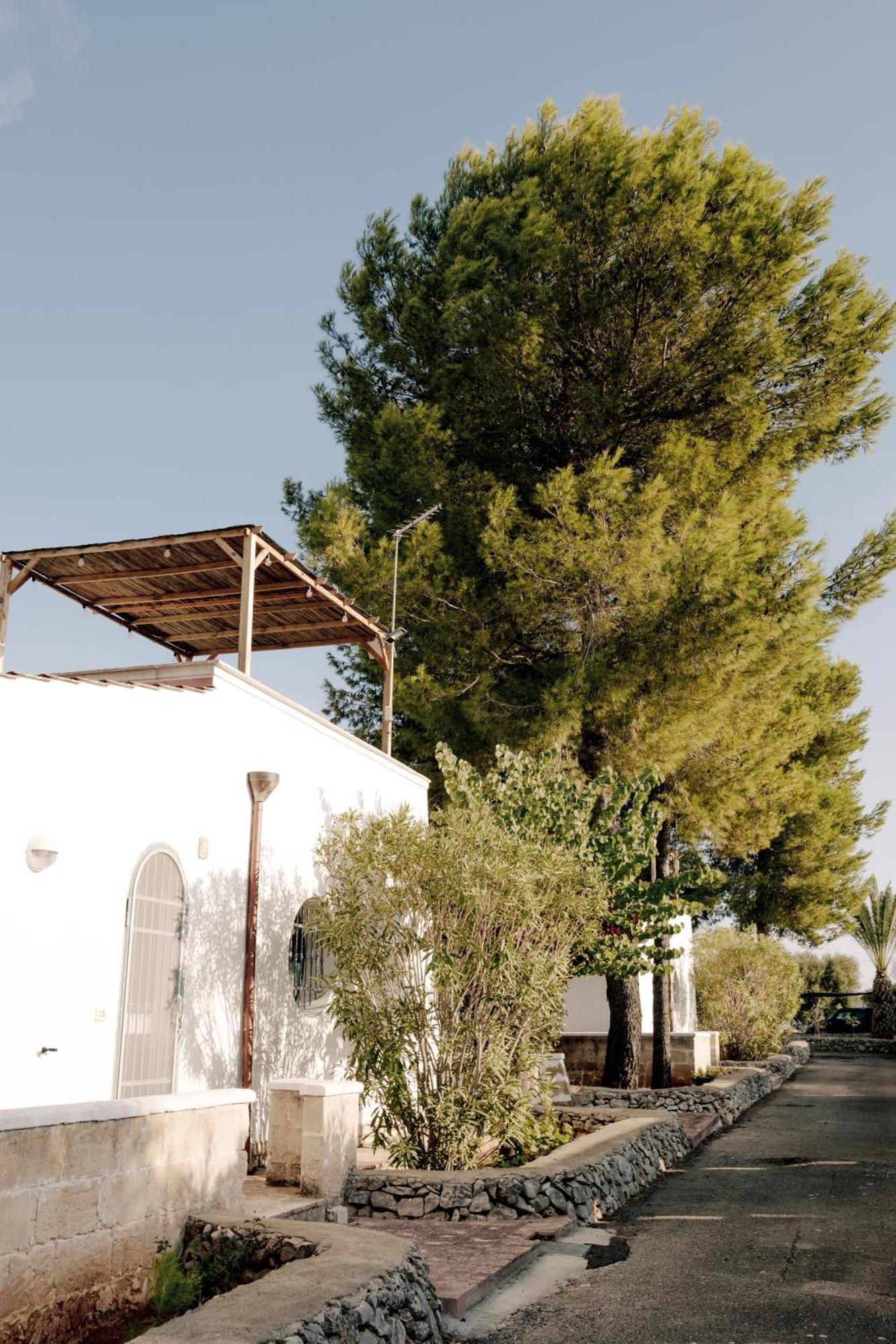 Casette Masseria La Camardia Sava Exteriér fotografie